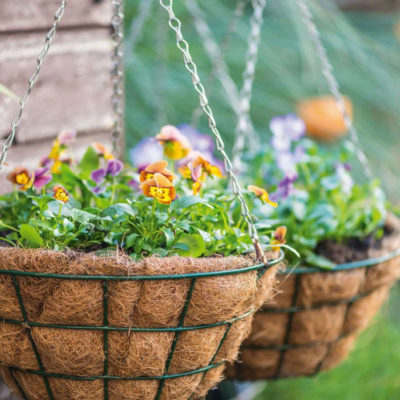 Hanging Baskets & Liners