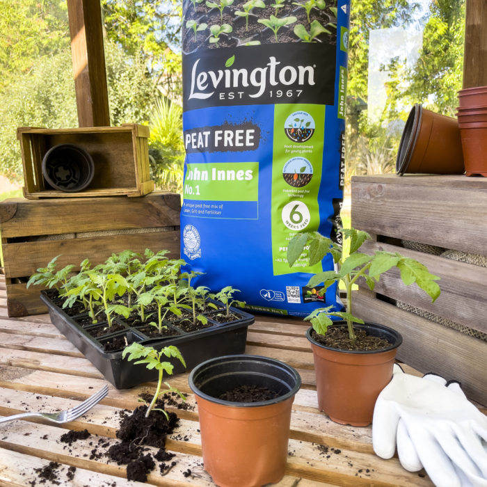Levington® John Innes No.1 Peat Free 25ltr - Image 4