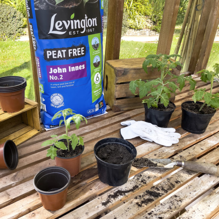 Levington® John Innes No.2 Peat Free 25ltr - Image 3