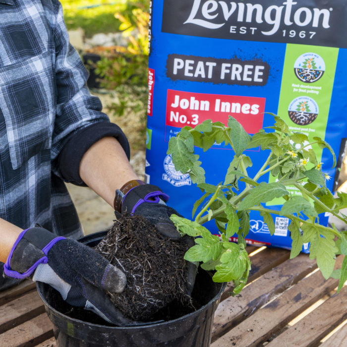 Levington® John Innes No.3 Peat Free 25ltr - Image 3