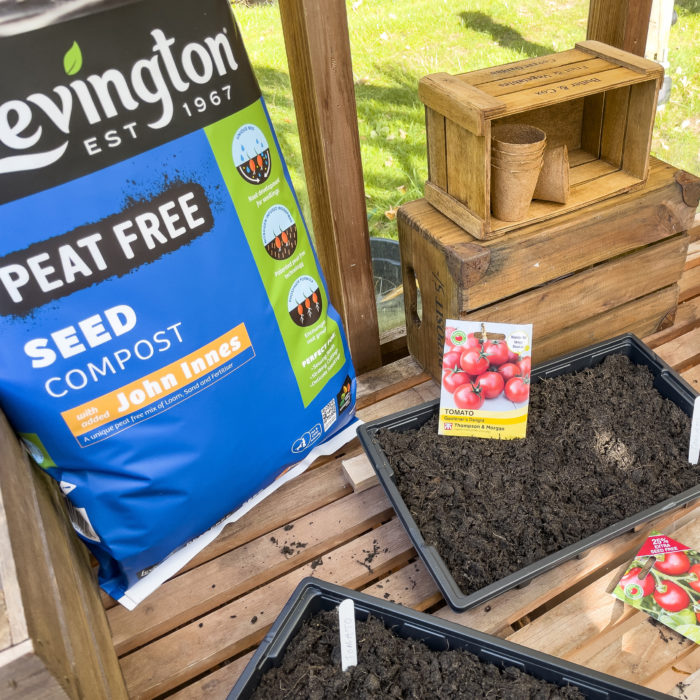 Levington® John Innes Seed Peat Free 25ltr - Image 4